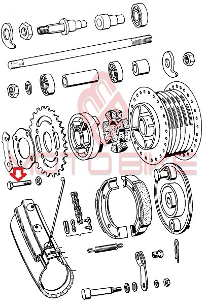 Vijak  zadnji zobnika  tomos apn m7x30mm