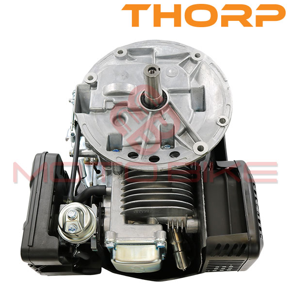 Motor thorp kosacice ohv 5,0 ks dvo160 (radilica 22,2 x 60mm)